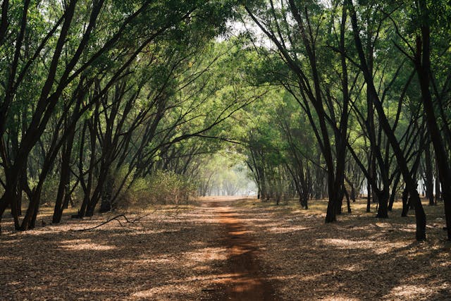 HCU Hyderabad issues 